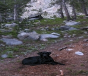 Montana 09 123